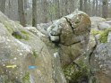 2014-04-03 10-04-16 Rando Champcueil YLe