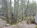 2014-04-03 10-07-35 Rando Champcueil YLe