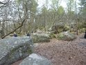 2014-04-03 10-07-48 Rando Champcueil FGn