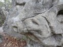 2014-04-03 10-17-35 Rando Champcueil DLe