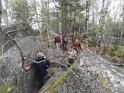 2014-04-03 10-21-10 Rando Champcueil DLe