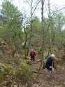 2014-04-03 10-23-28 Rando Champcueil YLe