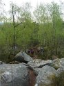 2014-04-03 10-25-08 Rando Champcueil YLe