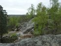 2014-04-03 10-33-51 Rando Champcueil FGn