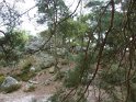 2014-04-03 10-47-11 Rando Champcueil YLe