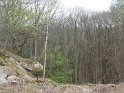 2014-04-03 11-30-47 Rando Champcueil YLe