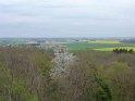 2014-04-03 11-39-17 Rando Champcueil YLe