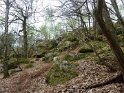 2014-04-03 12-19-24 Rando Champcueil YLe