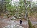 2014-04-03 12-36-06 Rando Champcueil YLe