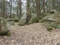 2014-04-03 12-41-33 Rando Champcueil FGn