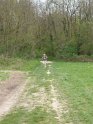 2014-04-03 15-50-37 Rando Champcueil YLe