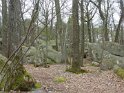 2014-04-03 16-43-03 Rando Champcueil YLe
