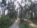 2015-04-09 09-52-43 Rando Champcueil DLe