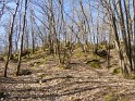 2015-04-09 10-16-57 Rando Champcueil FGn