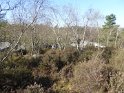 2015-04-09 10-23-08 Rando Champcueil FGn