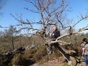 2015-04-09 11-30-42 Rando Champcueil FGn