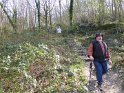 2015-04-09 16-34-07 Les 100 marches de Champcueil FGn
