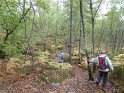 2019-10-03 10-03-49 Rando Champcueil FGn