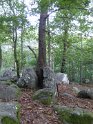 2019-10-03 10-15-15 Rando Champcueil FGn