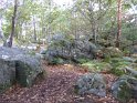 2019-10-03 10-31-34 Rando Champcueil FGn