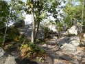 2019-10-03 10-41-02 Rando Champcueil FGn