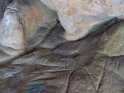 2019-10-03 10-47-36 Gravures rupestres FGn