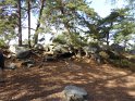 2019-10-03 11-30-07 Rando Champcueil FGn