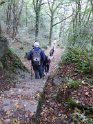 2019-10-03 14-31-00 Rando Champcueil FGn