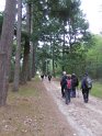 2019-10-03 15-10-23 Rando Champcueil FGn