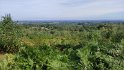 2024-09-16 11-43-49 Sur les pas des Charbonniers MWi