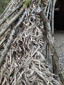 2024-09-16_10-02-40_Foret_Boubon_BMa