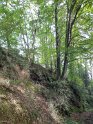 2024-09-16_10-43-32_Foret_Boubon_BMa