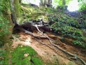 2024-09-16_10-44-36_Foret_Boubon_BMa