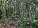 2024-09-20_15-21-08_Grand_Puyconnieux-montbrun_BMa