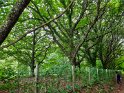 2024-09-20_16-04-45_Grand_Puyconnieux-montbrun_BMa