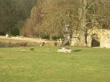 2009-03-05 16-21-23 Dampierre
