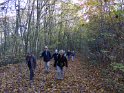 2015-11-05 10-12-20 Dampierre FGn