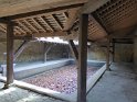 2015-11-05 11-06-20 Dampierre FGn