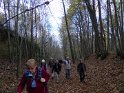 2015-11-05 11-34-05 Dampierre FGn