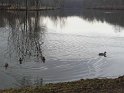 2017-02-16 15-23-55 Vaux de Cernay CGn