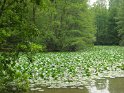 2009-06-04 10-51-46 Dourdan YLe