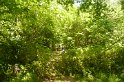 2009-06-04 14-55-11 Dourdan DLe