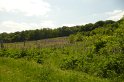 2009-06-04 14-56-00 Dourdan DLe