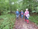 2013-10-17 11-13-31 Rando Dourdan Le matin FGn