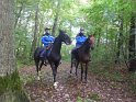 2013-10-17 11-17-00 Rando Dourdan Le matin FGn