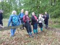 2013-10-17 15-32-53 Rando Dourdan apres-midi FGn