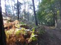 2018-10-04 09-53-27 Rando Dourdan FGn