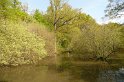 2009-04-30 11-42-27 Rando Rambouillet DLe