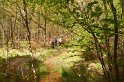 2009-04-30 16-06-54 Rando Rambouillet DLe