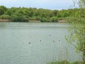 2009-04-30 16-43-34 Rando Rambouillet CGn